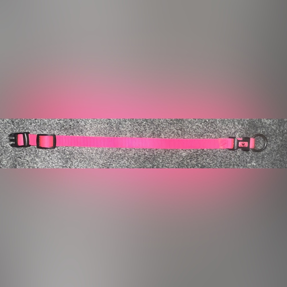 🎉HOST PICK 🎉 Hot Pink Dog Collar - Picture 2 of 7